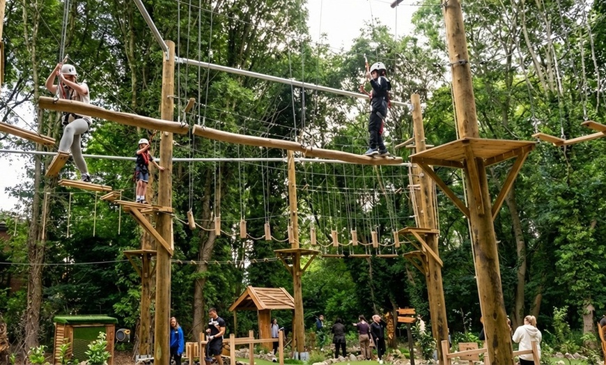 Image 3: Aerial Assault Course and Zip line for One, Two, or Four People 