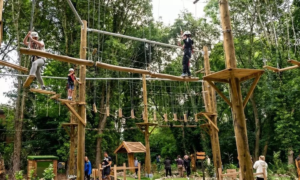 Aerial Assault Course and Zip line for One, Two, or Four People
