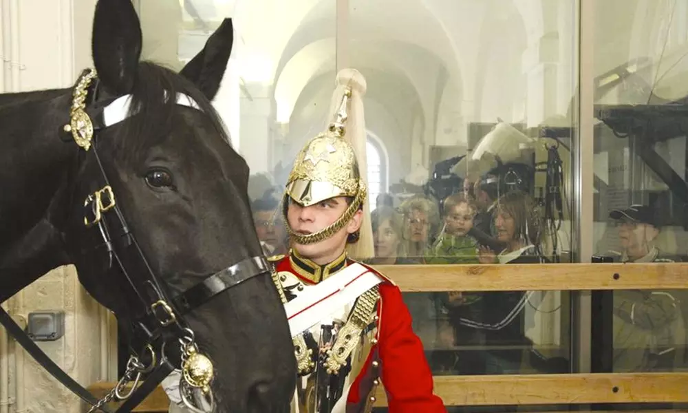 Entry Ticket to The Household Cavalry Museum