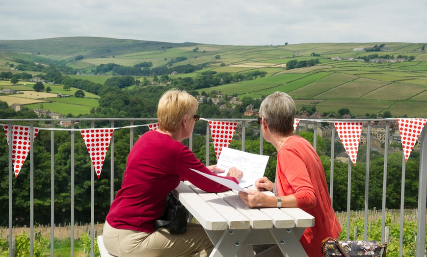 Image 4: Vineyard Tour with Wine Tasting