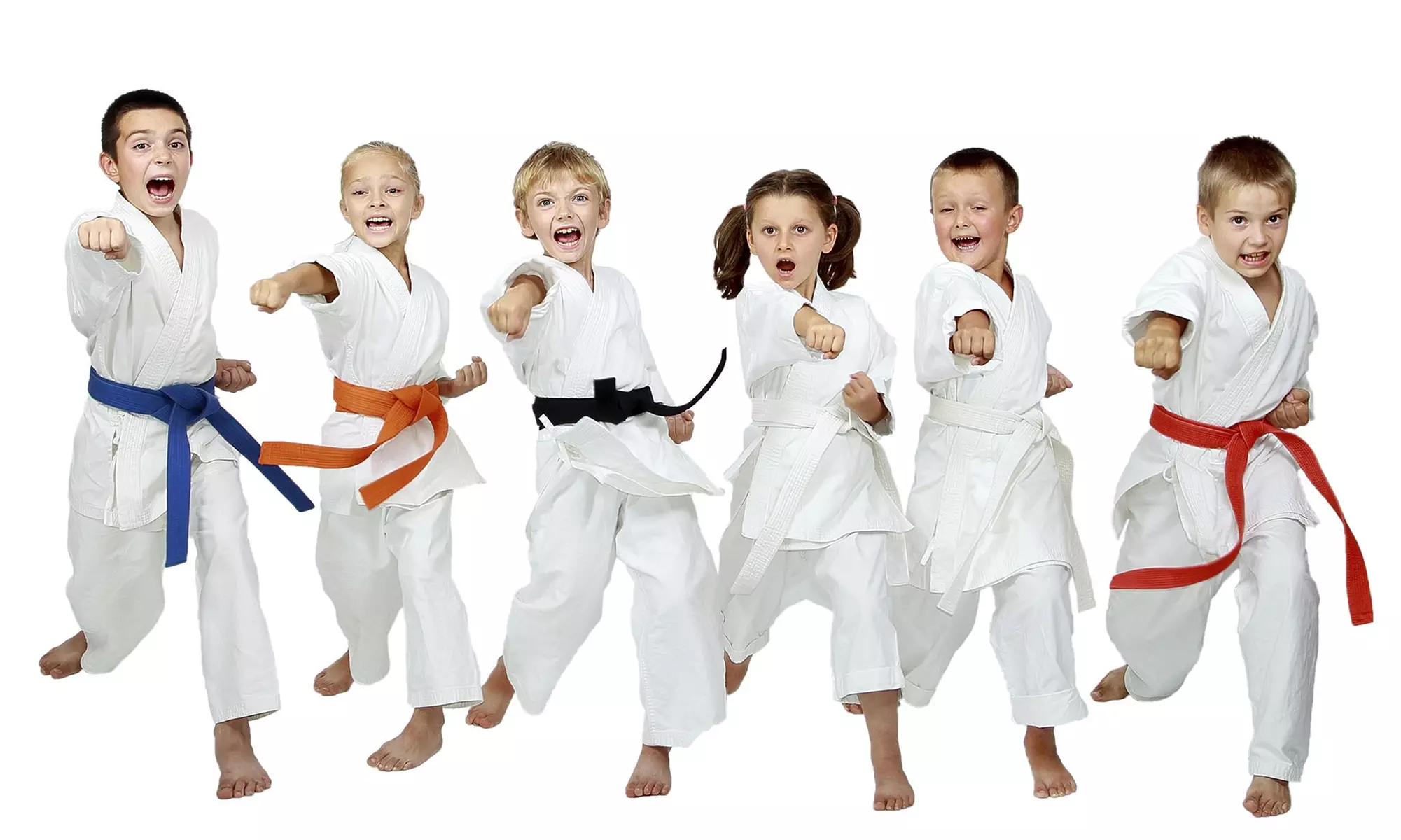 $27 for $224 voucher — East West Team M.A. - Primary Image