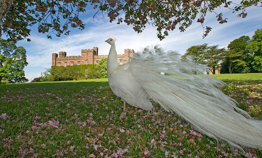 Image 6: Family Ticket to Scone Palace