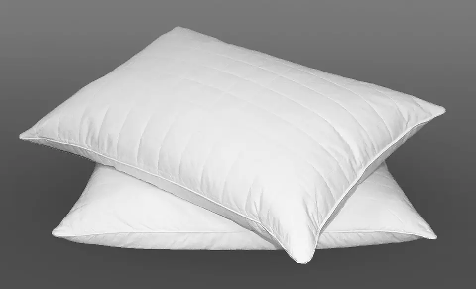 2-Pack of Hotel Peninsula Quilted Feather Pillows in Standard Size - Primary Image