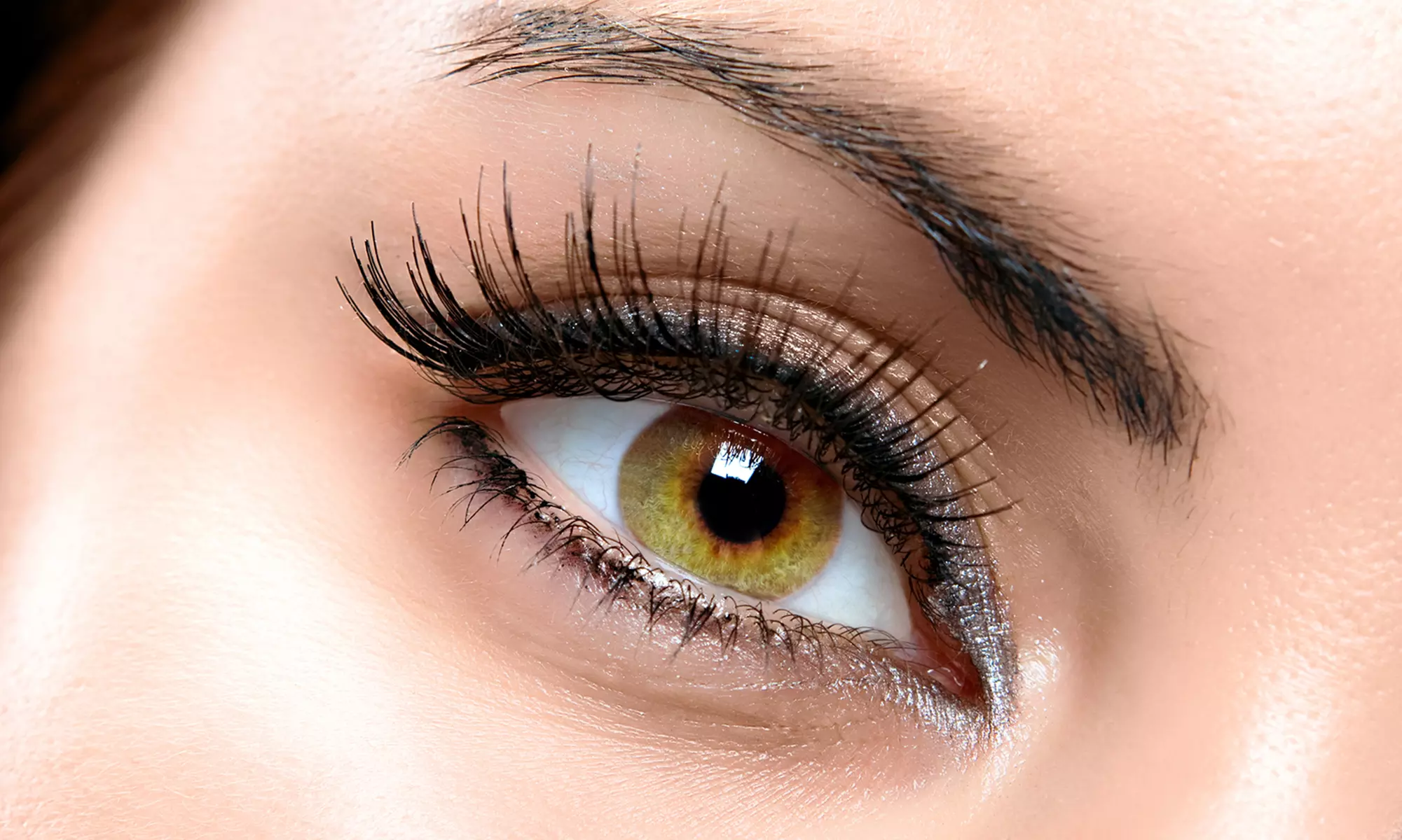 Permanent Eyeliner, Brows, or Lips at Pigmenta Permanent Cosmetics (Up to 66% Off) - Primary Image