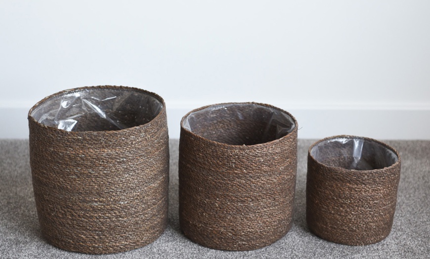 Image 3: Seagrass Planter Basket