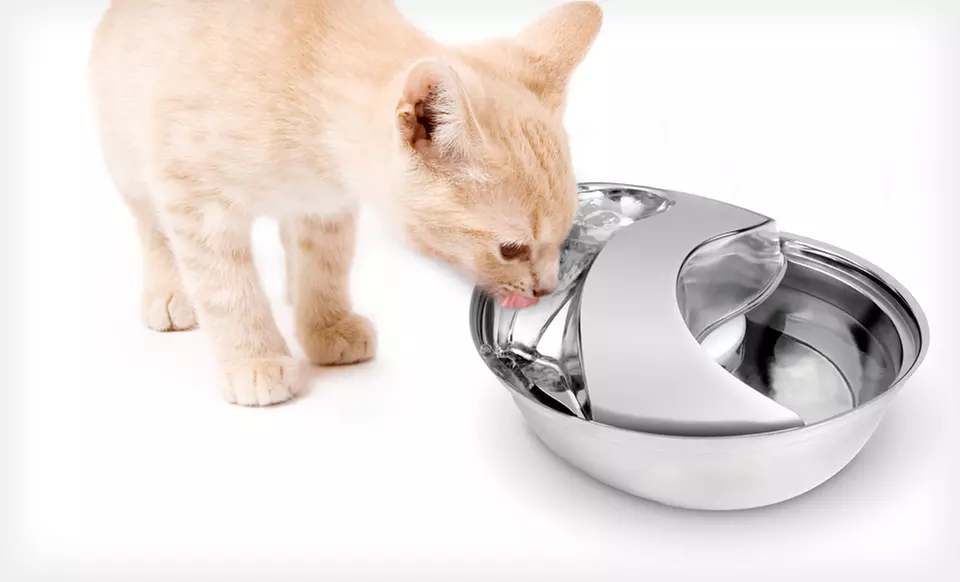 $48.99 for a Pioneer Pet Stainless-Steel Raindrop Drinking Fountain ($86.71 List Price). Free Shipping and Free Returns. - Primary Image