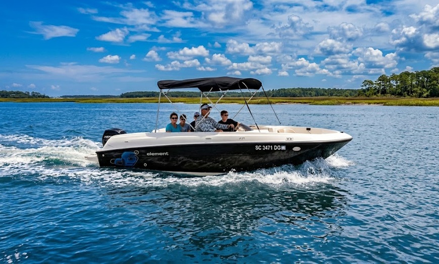 Image 3: 1-Hour Dolphin Watching or Shell Collecting Tour (Up to 6)