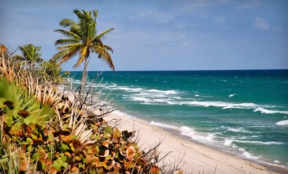 Stay at Ocean Lodge in Boca Raton, FL - Primary Image