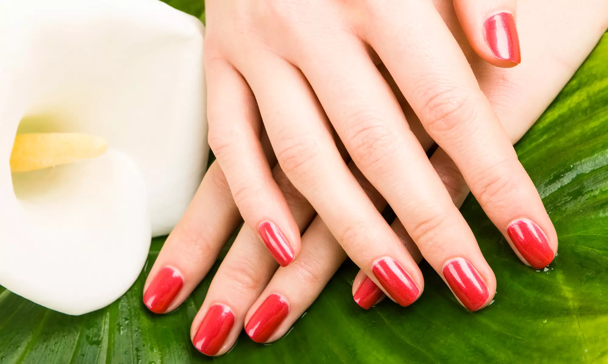 $26 for a Two Shellac Manicures at Discovered Treasure Nail Spa ($50 Value)  - Primary Image