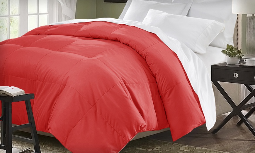 club le med 5 down feather mattress topper