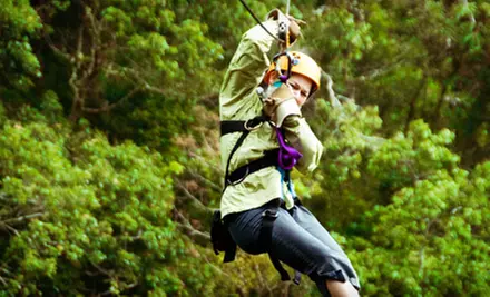 Two Hours of Ziplining for Two, Four, or Six at Wilstem Ranch (Up to 55% Off) - Primary Image