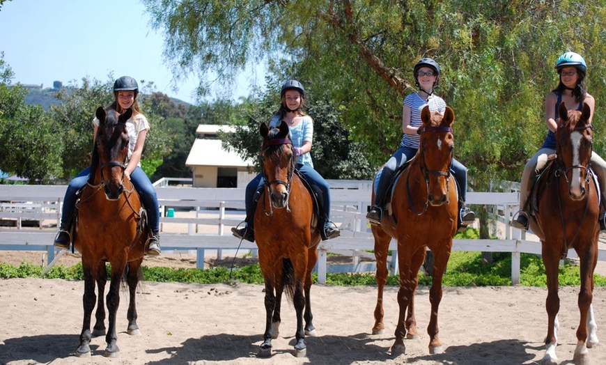Image 3: Master Horse Riding Essentials w/ Liz Bolton Stables’ Private Lessons 