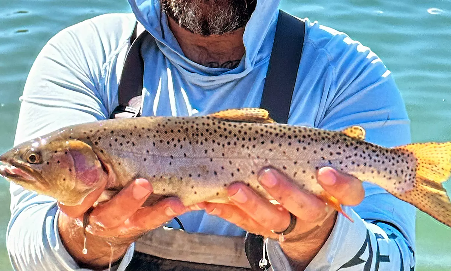 Join Tug of War LLC for a Fly-Fishing Adventure with Full or Half-Day Sessions, and Save Up to 21% - Second Medium