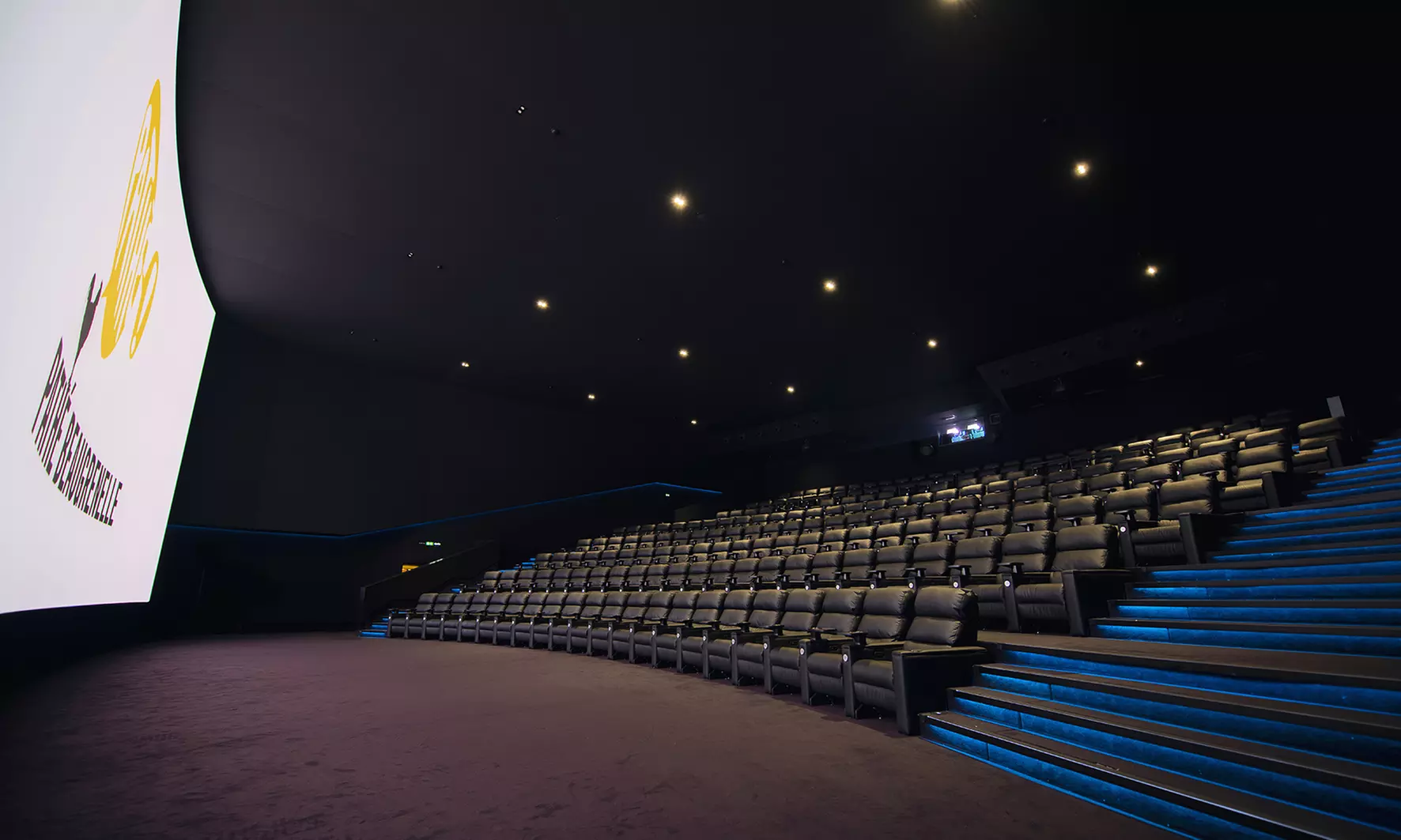 L’expérience grand écran se vit en 4DX et IMAX avec la CinéCarte Pathé