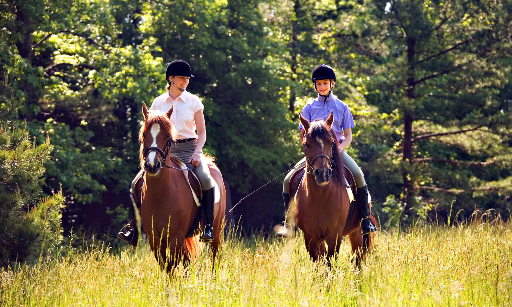 C$59 for Four 60-Minute Introductory Group Horseback-Riding Lessons at Equestrian Arts (C$140 Value) - Primary Image
