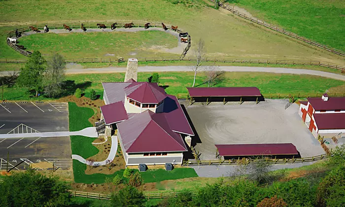 60-Minute Trail Ride for Two or Four at The Stables at Brasstown Valley Resort & Spa (Up to 51% Off) - Primary Image