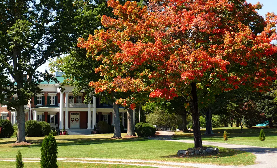 Stay at Rockwood Manor in Dublin, VA. Dates Available into January. - Primary Image