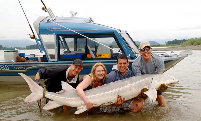 Four-Hour Sturgeon Fishing Trip for Two or Four from Prestige Sport Fishing (Up to 55% Off) - Primary Image