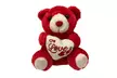 Valentine's Day Plush Bear with Embedded Heart - Second Medium