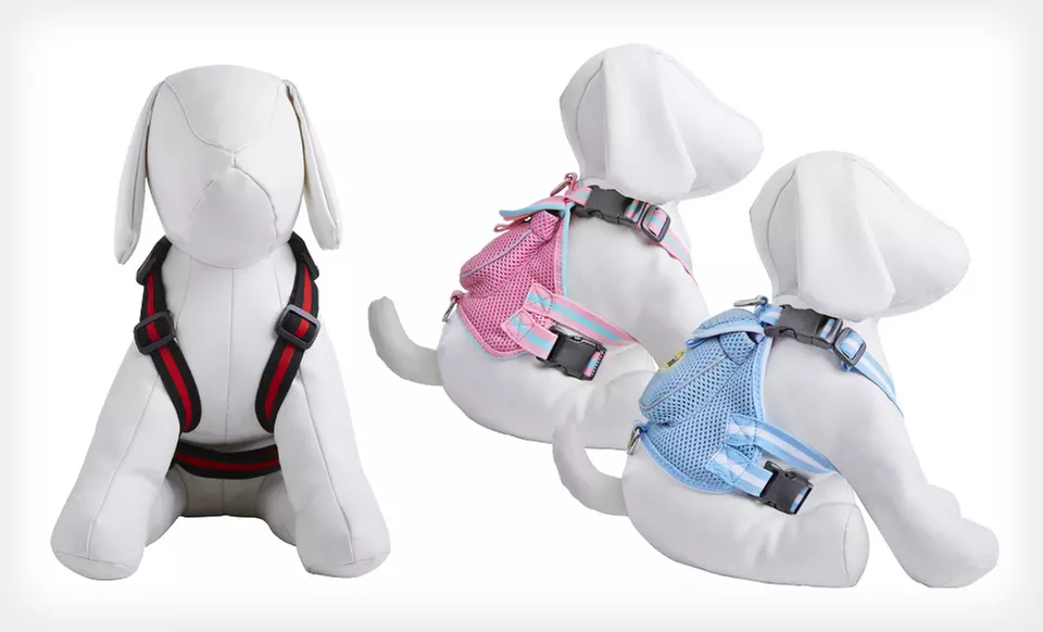 Pet Life Mesh Harness (Up to 52% Off). Multiple Sizes and Colors Available. Free Returns. - Primary Image