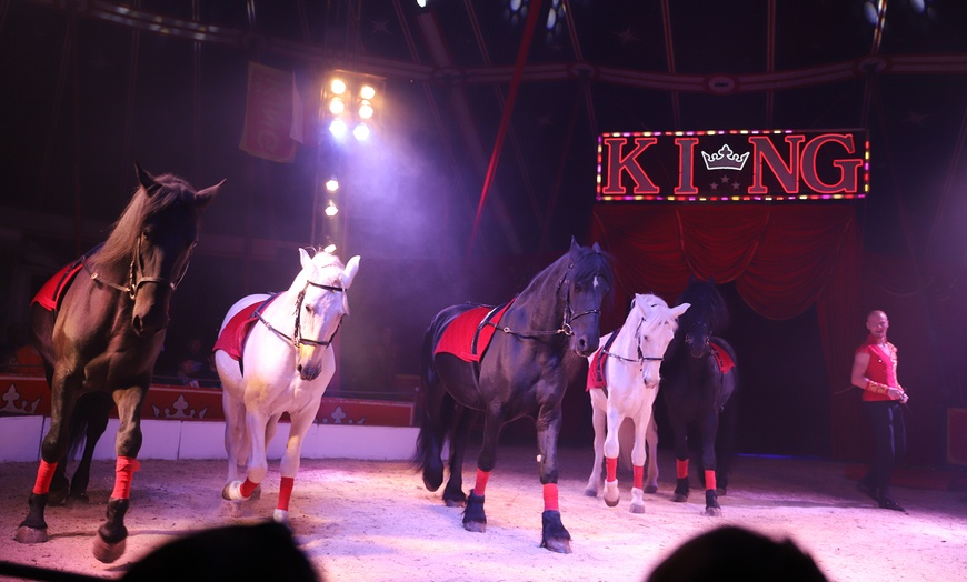 Image 3: Ticket für den Ludwigshafener Weihnachtscircus im Dezember 