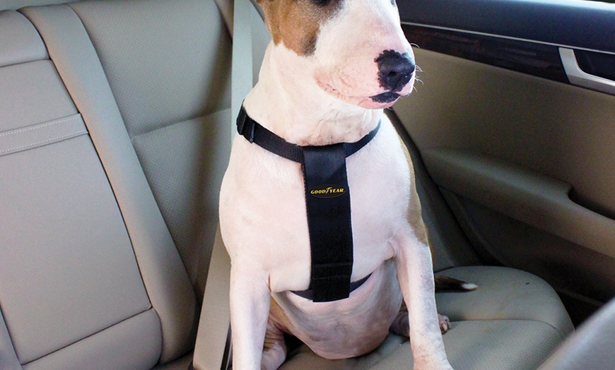 Goodyear dog sale harness