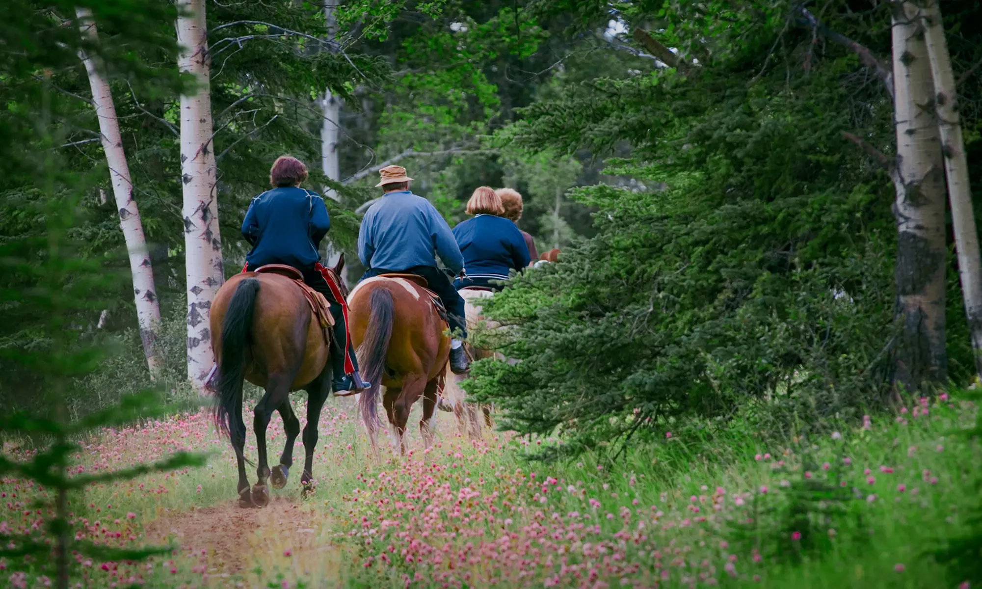 River Trail Ride for Two or Four at Chattahoochee Stables (Half Off) - Primary Image