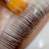 Image 3: Lash- und/oder Browlifting inkl. Farbe für 1 Person