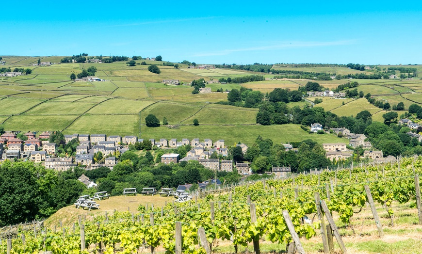 Image 6: Lunch, Vineyard Tour and Wine