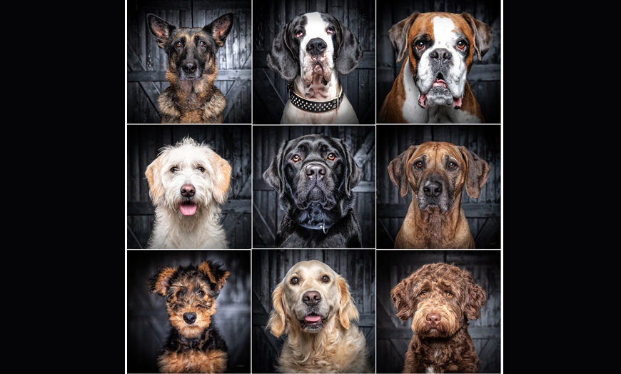 Image 13: Professionele gezinsfotoshoot incl. mini-album bij Frans Lahaye
