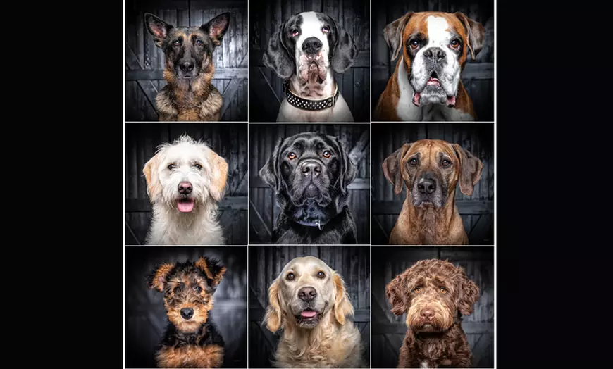 Professionele gezinsfotoshoot incl. mini-album bij Frans Lahaye