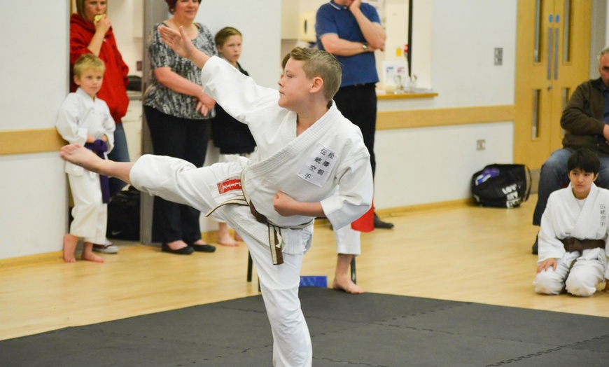 Image 4: Three Karate Lessons for Child