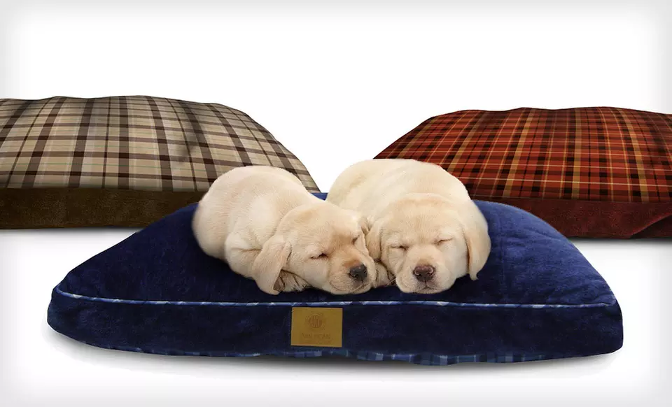 $24.99 for an AKC Reversible Gusset Pet Bed in Blue, Brown, or Red ($62.95 List Price). Free Shipping and Free Returns. - Primary Image