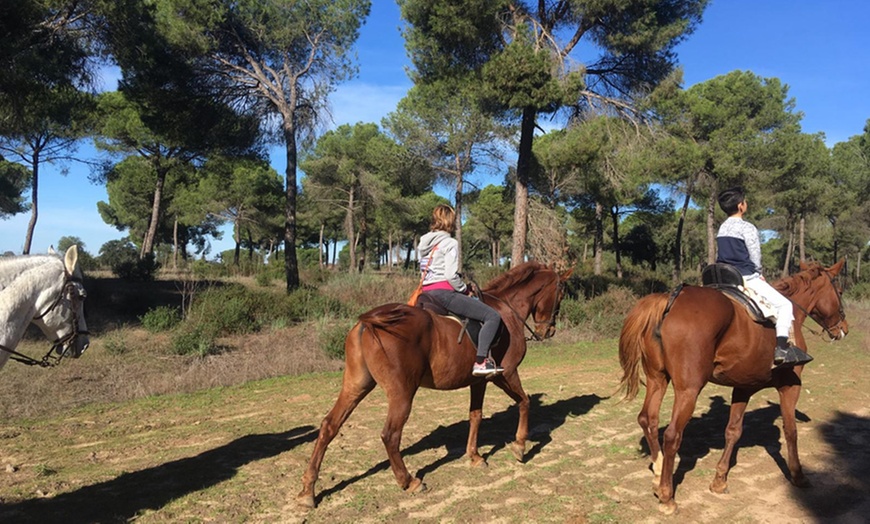 Image 2: Paseo a caballo para 2 o 4