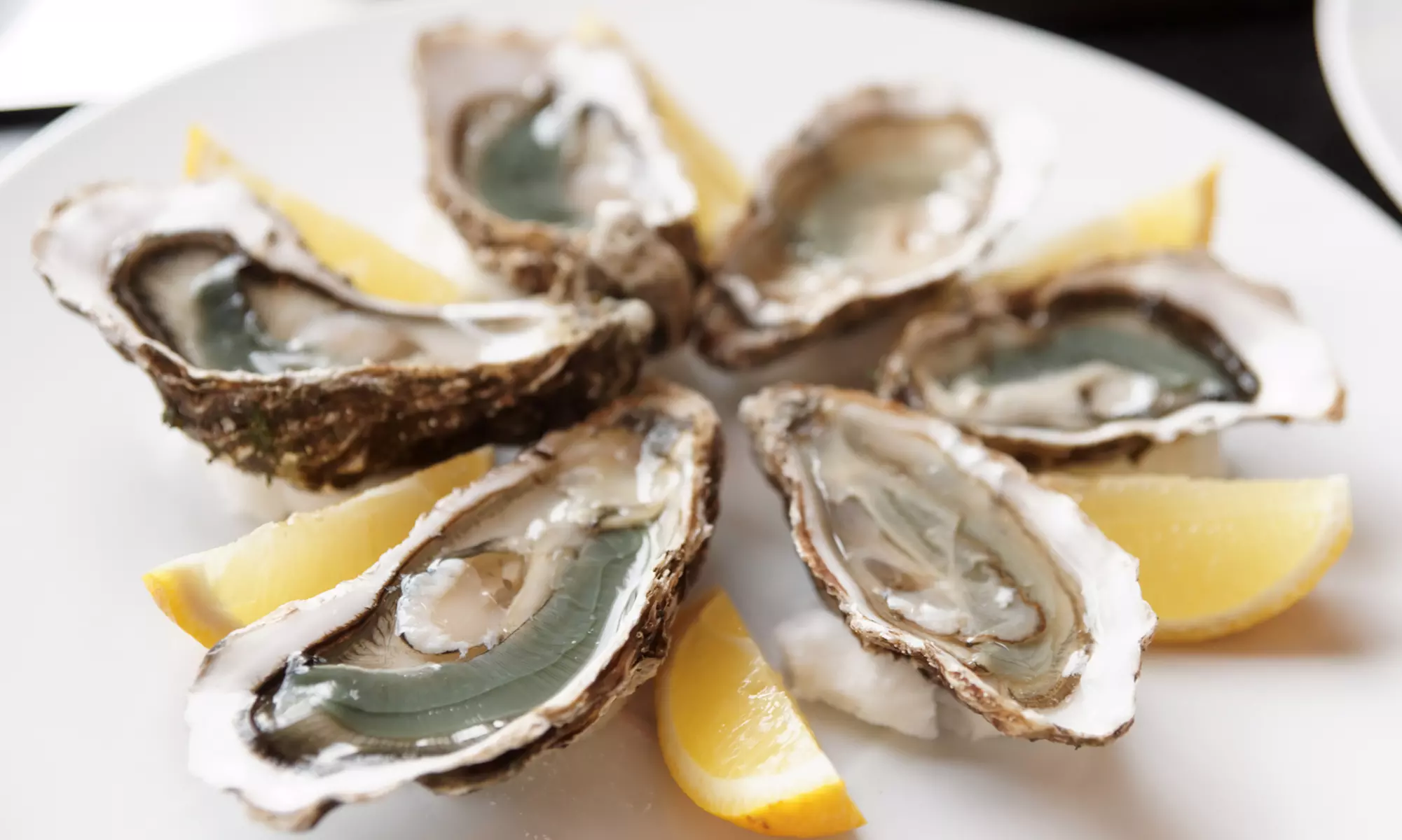 Seafood and American Cuisine at Captain James Landing (48% Off). Two Options Available. - Primary Image
