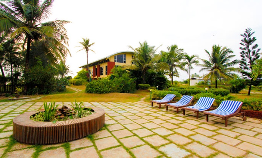 Image 6: Detox Retreat in Goa, India