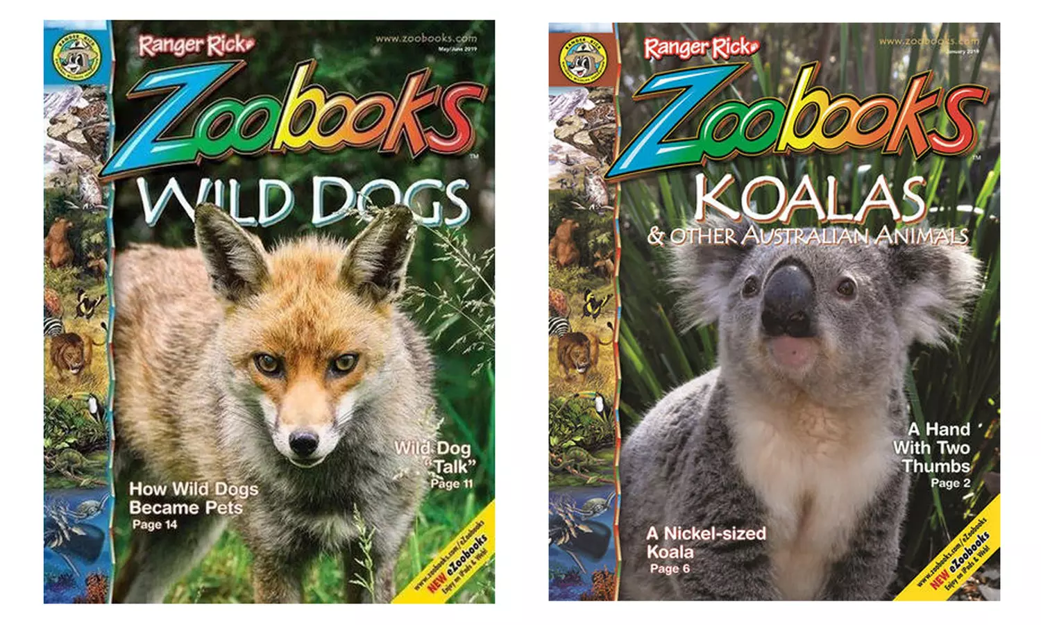 Zoobooks Magazine Subscription for One or Two Years (Up to 75% Off) - Primary Image