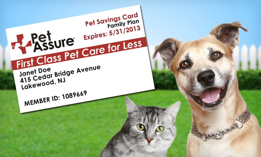 Pet Assure Veterinary Discounts | Groupon Goods