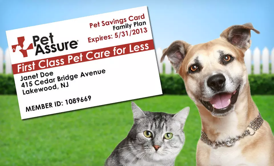 Six-Month Single Cat, Single Dog, or Household Veterinary Discount Plan (Up to 69% Off). Free Shipping. - Primary Image