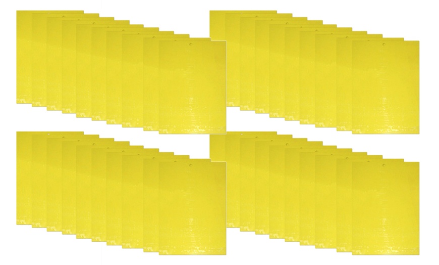 Image 9: Dual-Sided Yellow Sticky Traps