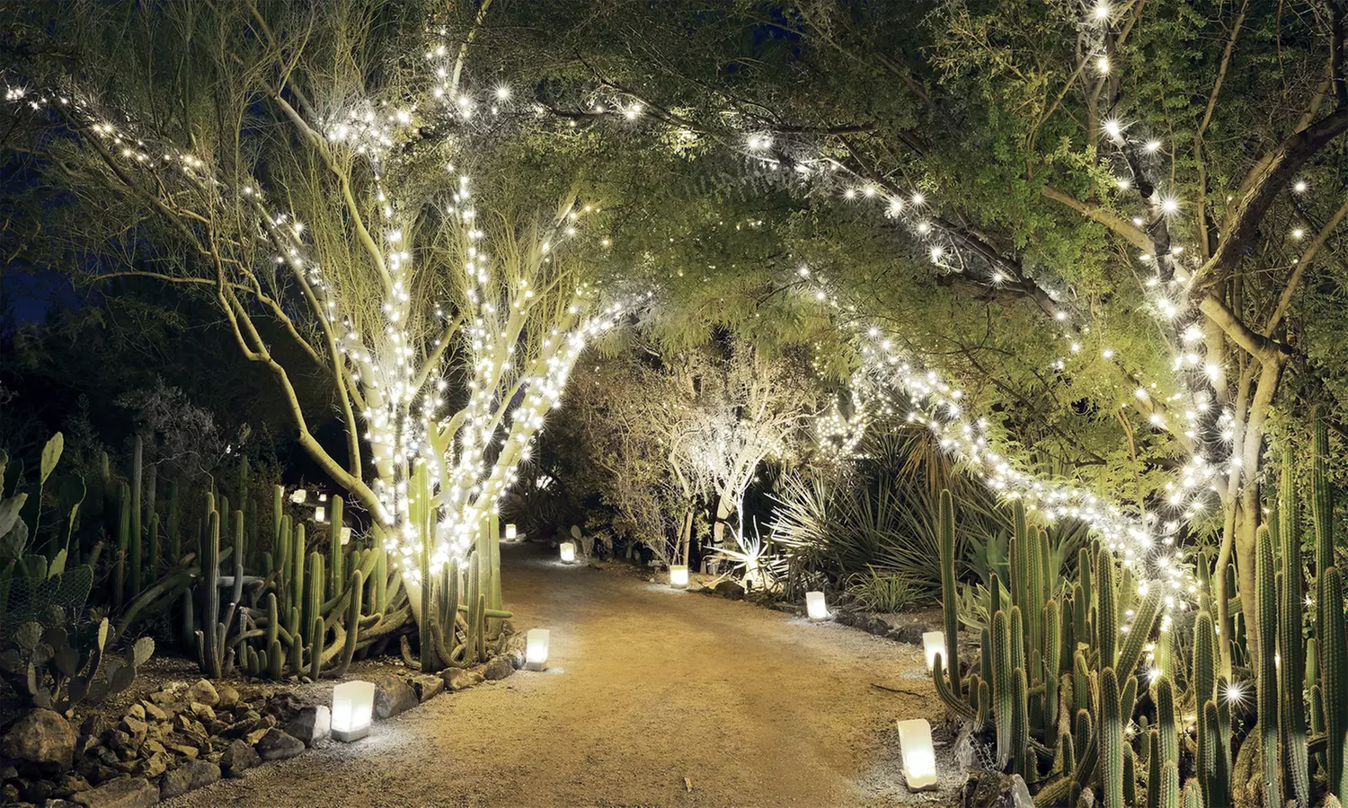 Jusqu'à 4 guirlandes solaires décoratives de jardin 50, 100, 200, 400 ou 1000 LED - Primary Image