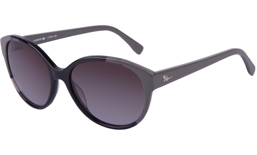 Image 23: Lacoste Sunglasses