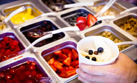 Frozen Yogurt at Yogurt Express (Half Off). Two Options Available. - Primary Image