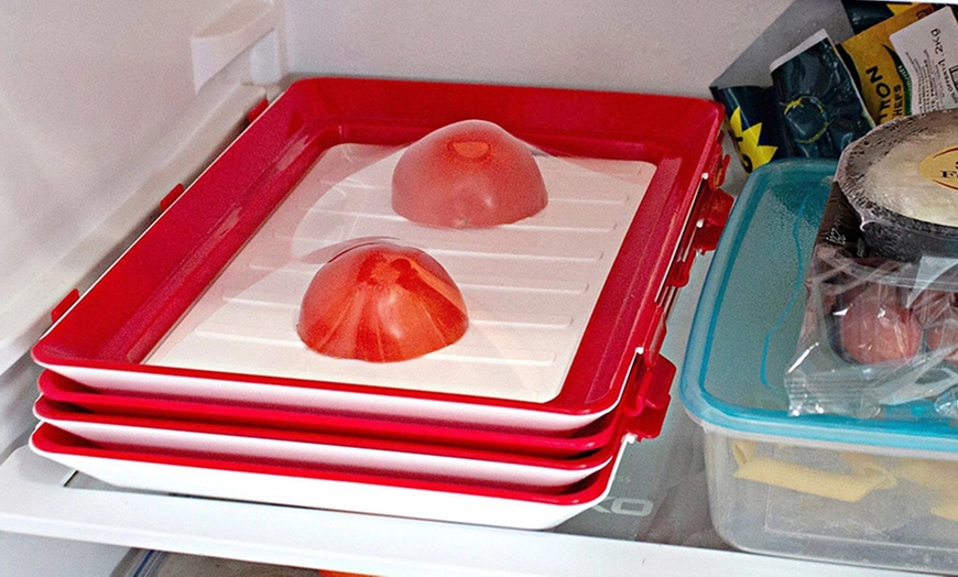 Image 4: Food Preservation Storage Tray