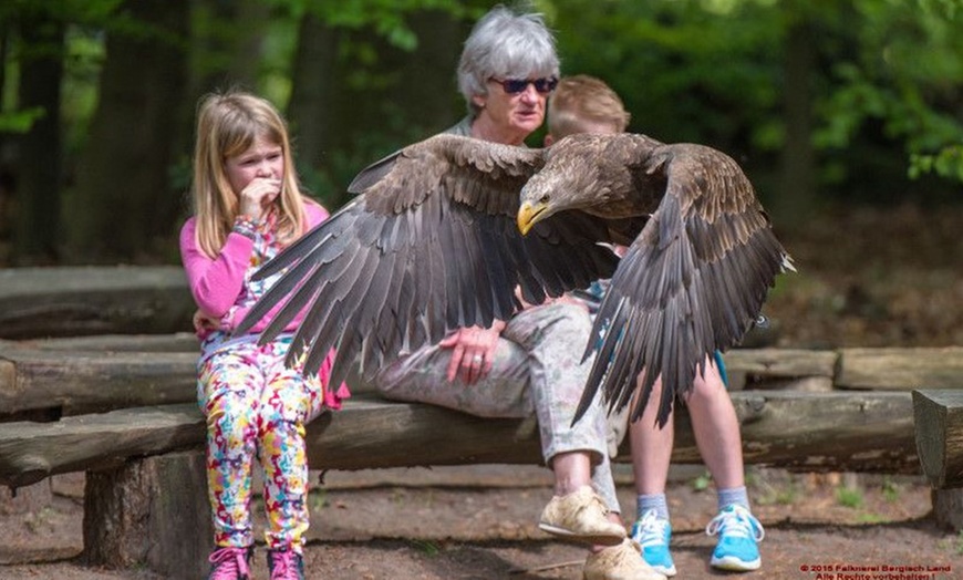 Image 6: Waldtour mit Greifvogel oder Eule