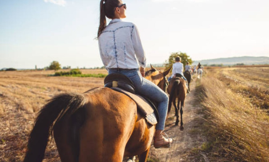 Image 10: Paseo a caballo de 1 hora por el Parque del Guadarrama con refresco