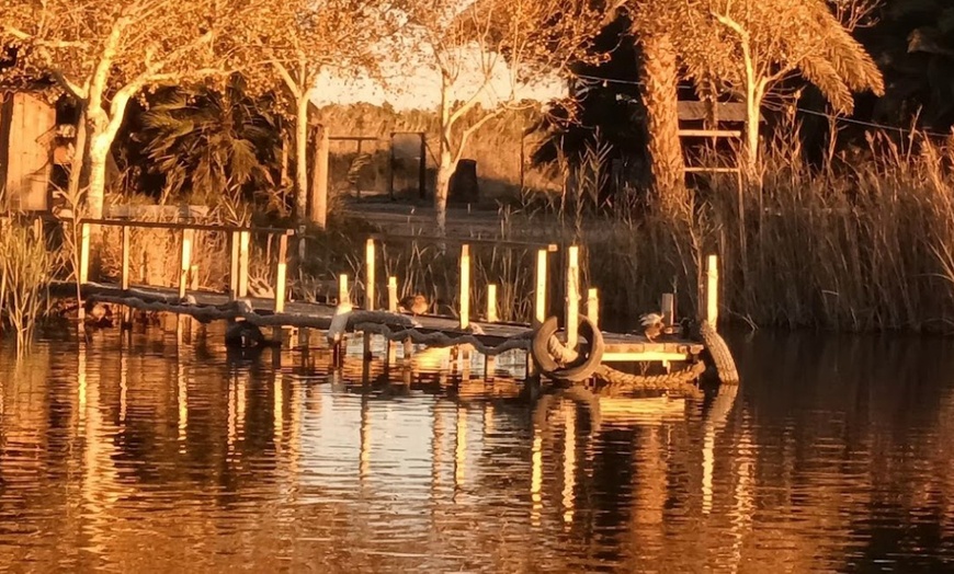 Image 16: ¡Descubre la magia de la Albufera en barca!