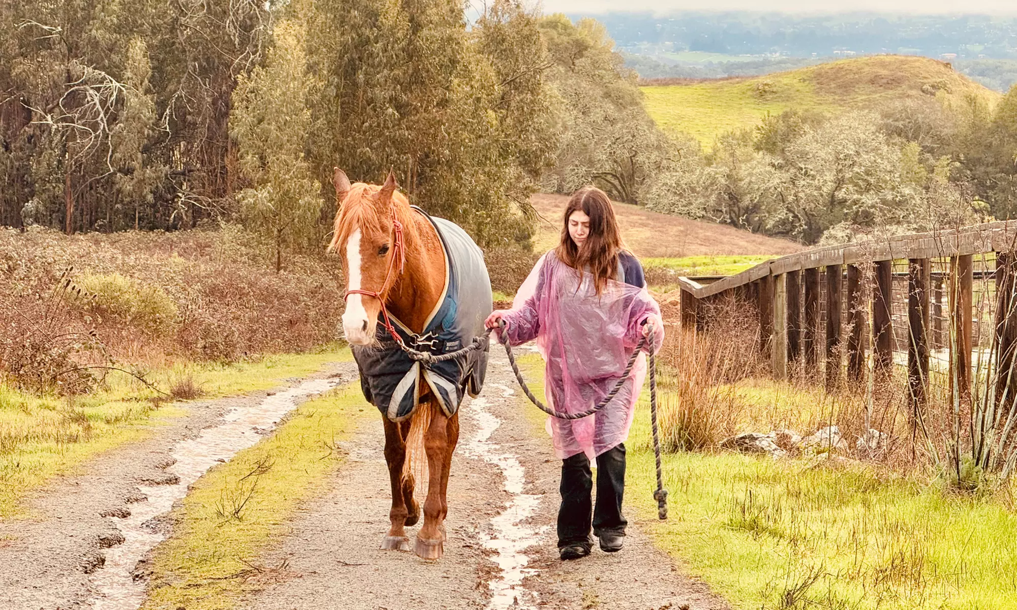 Discover Private Horseback Riding Session or Intro to Horses & Riding