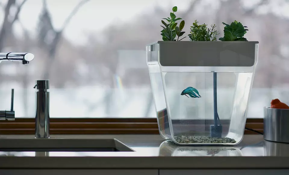 AquaFarm 3-Gallon Fish Tank and Planter - Primary Image