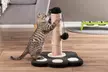 PETMAKER Cat Scratching Posts with Hanging Toy  - Second Medium